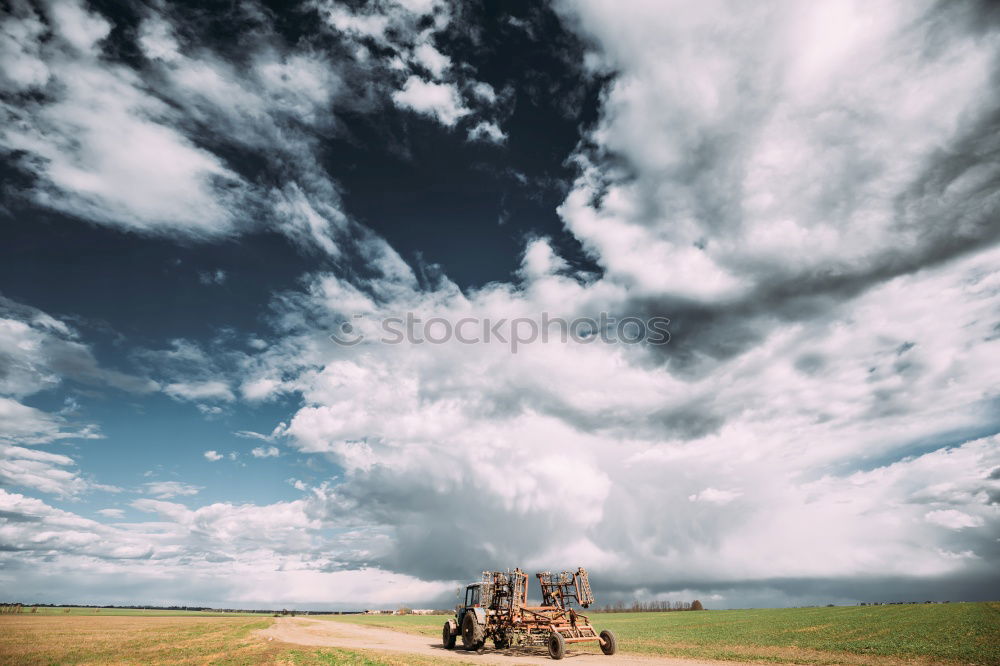 Similar – Image, Stock Photo Bird Ostrich Environment