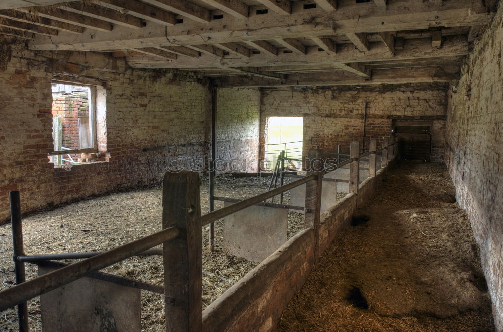 Similar – Image, Stock Photo Inside the Bastion of Rothenburg.