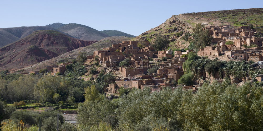 Image, Stock Photo Oasis Morocco II