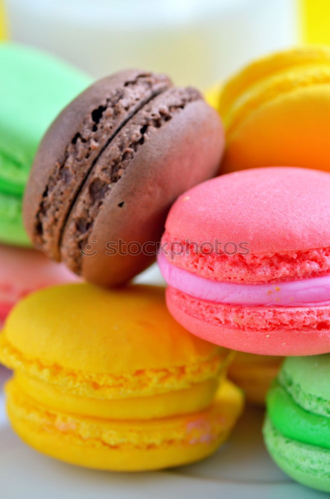 Similar – Three multi-colored almond macaroons