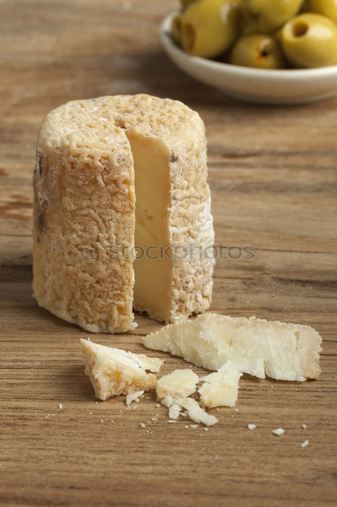 Similar – bissel cheese and bissel bread