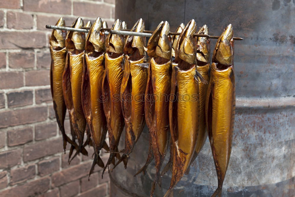 Similar – Image, Stock Photo Fish smokehouse, herrings, smoking oven