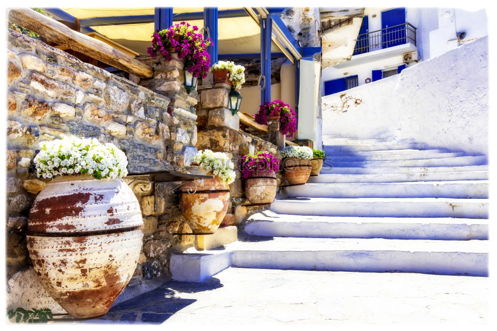 Image, Stock Photo Rustic flower pots in Cadaques, Spain