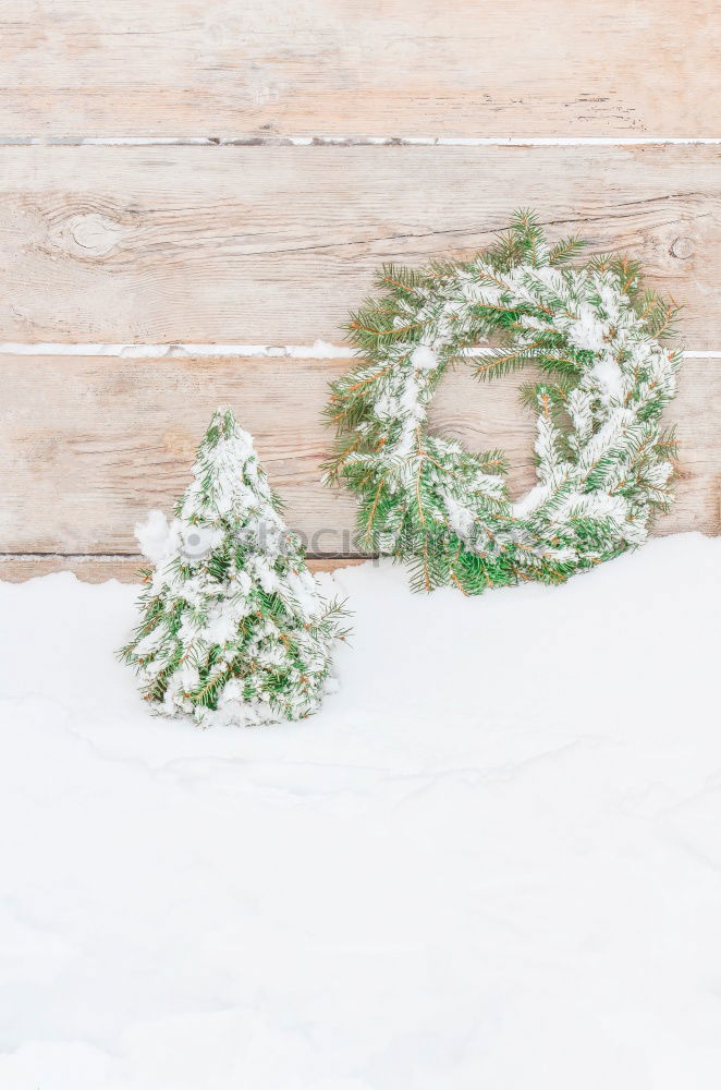 Similar – Image, Stock Photo Fir twigs, Christmas wreaths and jingle bells.