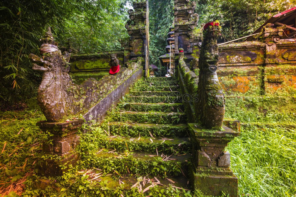 Similar – Image, Stock Photo Wat Pha Lat Monastery