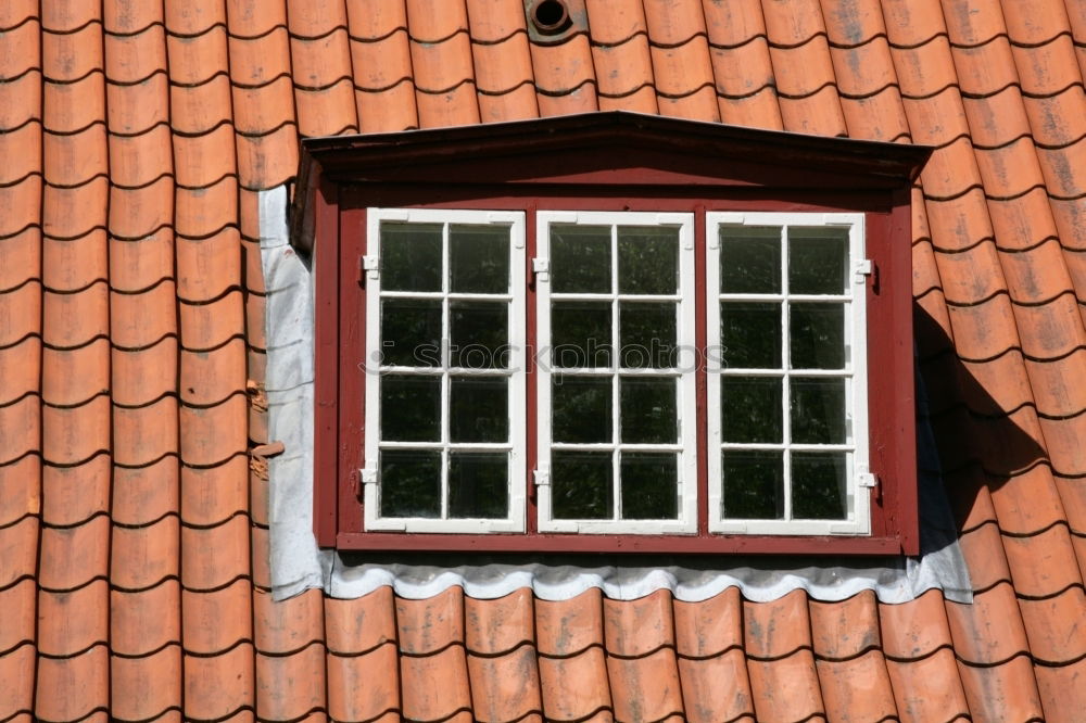 skylight Dormer Skylight