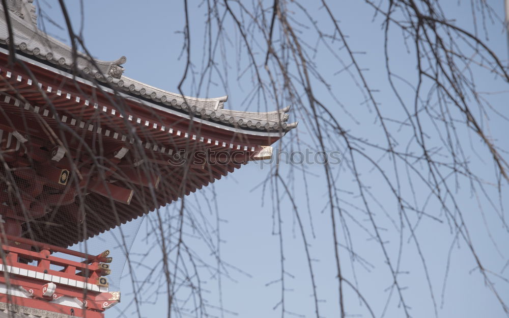 Similar – Image, Stock Photo exotic corner Xian China