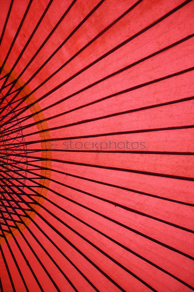 Similar – Image, Stock Photo mirrors Mirror Red