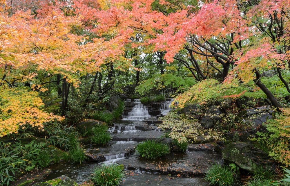 Similar – The Creek at the Yoro Waterfall in Gifu, Japan