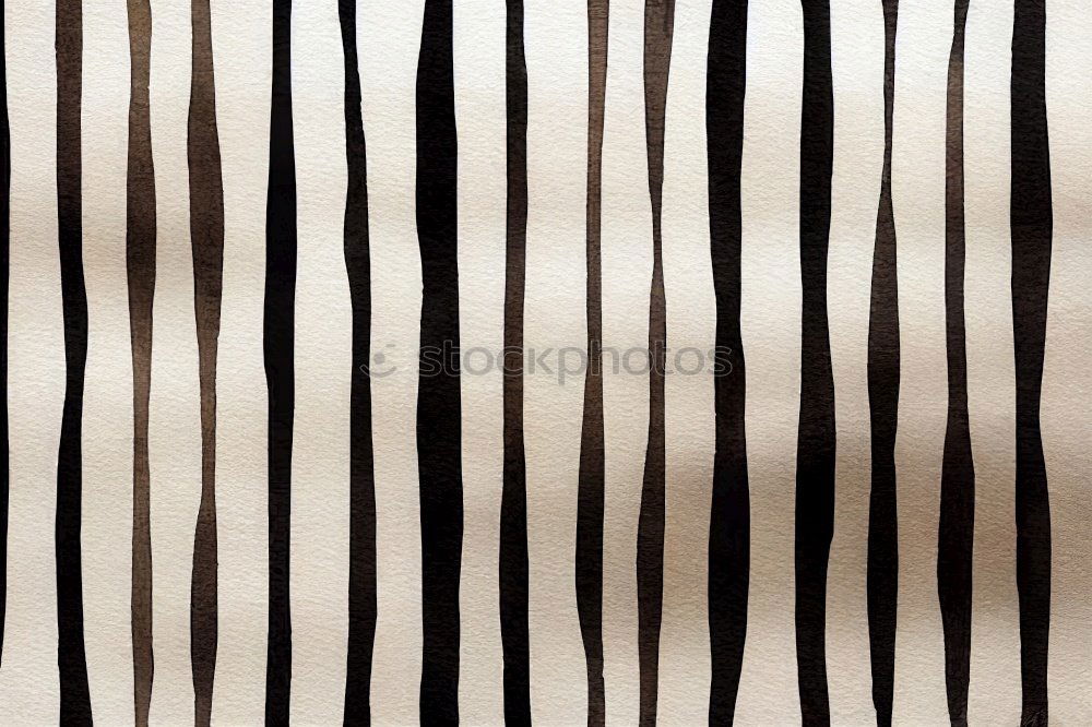 Similar – zebra Style Design Line