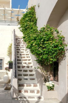 Similar – Image, Stock Photo garden door Plant Tree