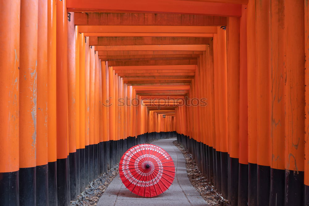 Similar – Image, Stock Photo Fushimi-Inari Shrine Kyoto