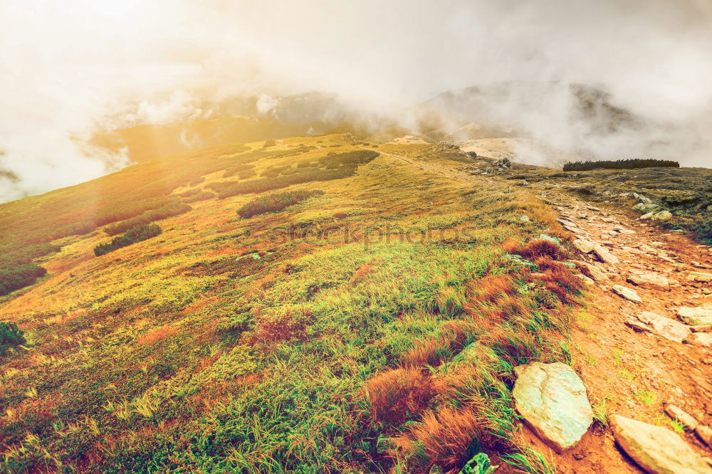 Similar – Image, Stock Photo Discover nature Hand 1