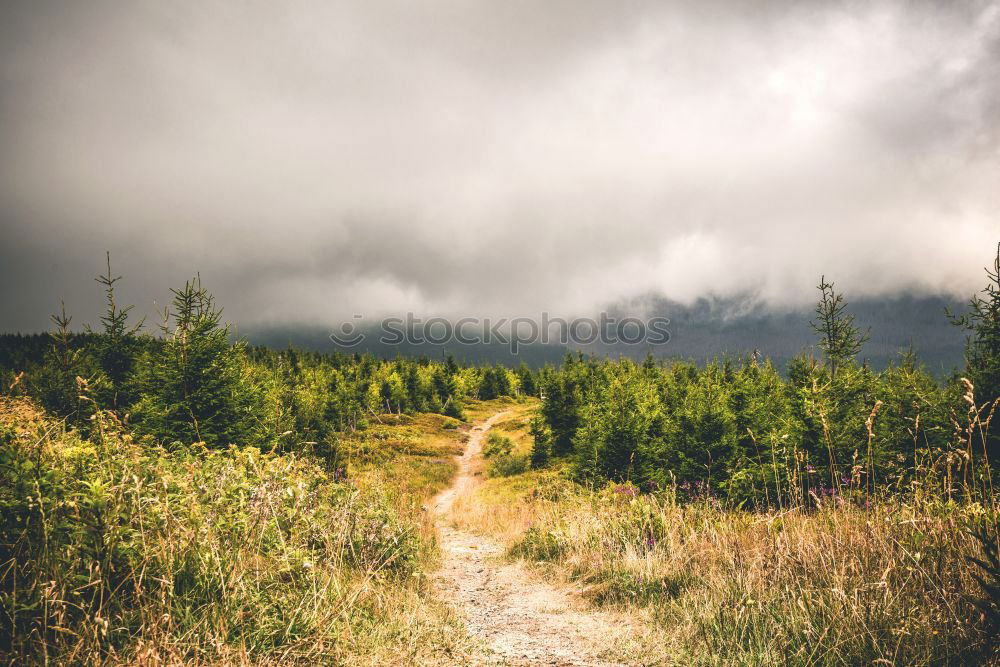 Similar – Image, Stock Photo Discover nature Hand 1