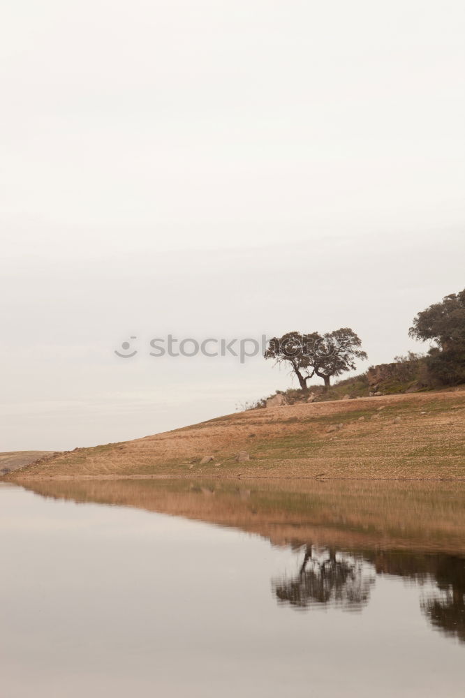 Similar – parted Meadow Field Coast