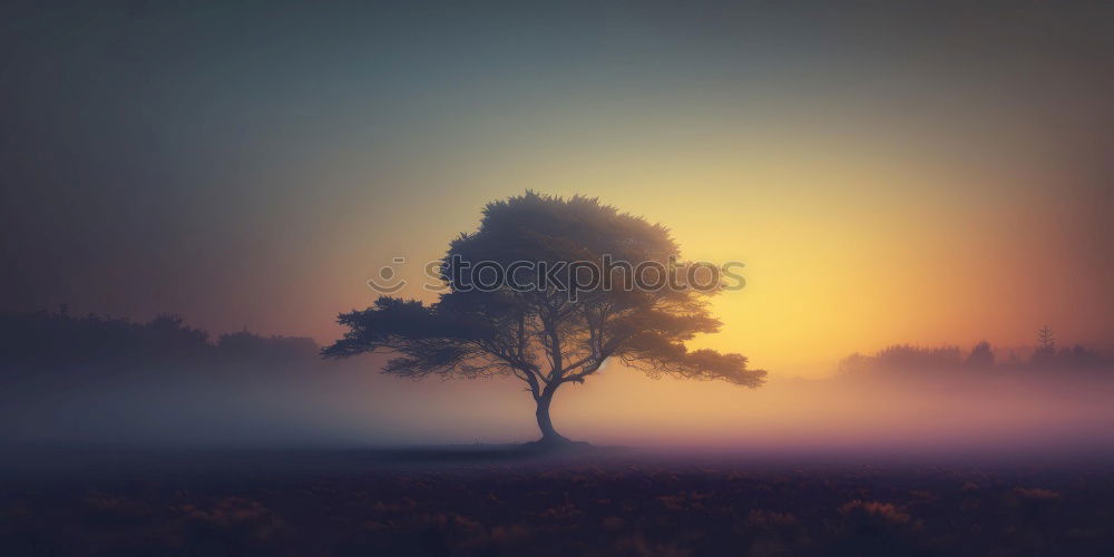 Similar – Image, Stock Photo trees in the mountain