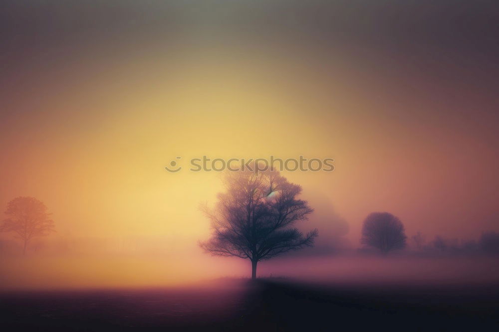 Similar – Image, Stock Photo morning fog Environment