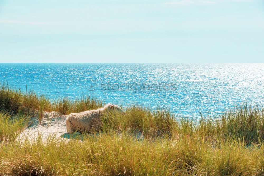 Similar – Baltic Sea in Sweden