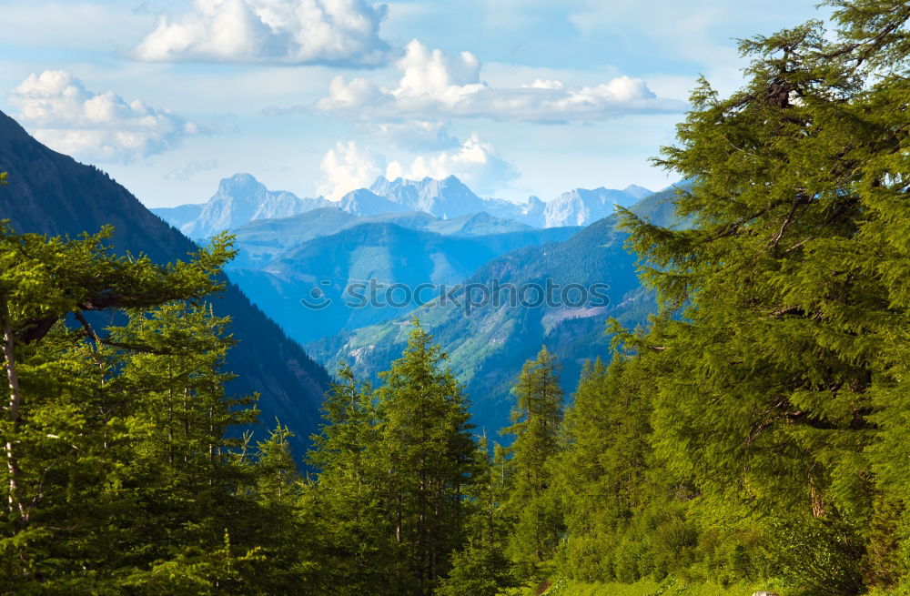 Similar – Mountain peaks with green forest and rocks in Swiss Alps