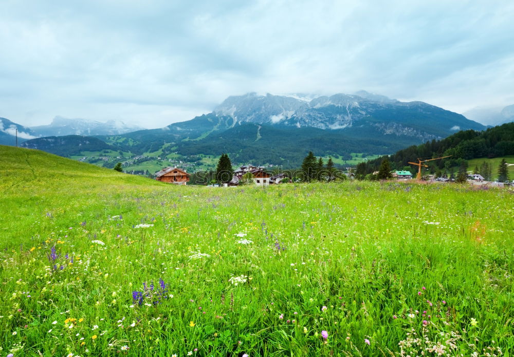 Similar – happy lovers on Holiday in the alps mountains