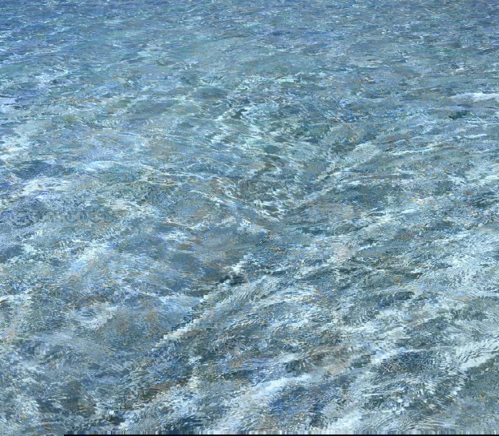 Similar – Foto Bild Sylter Craquelé Meer