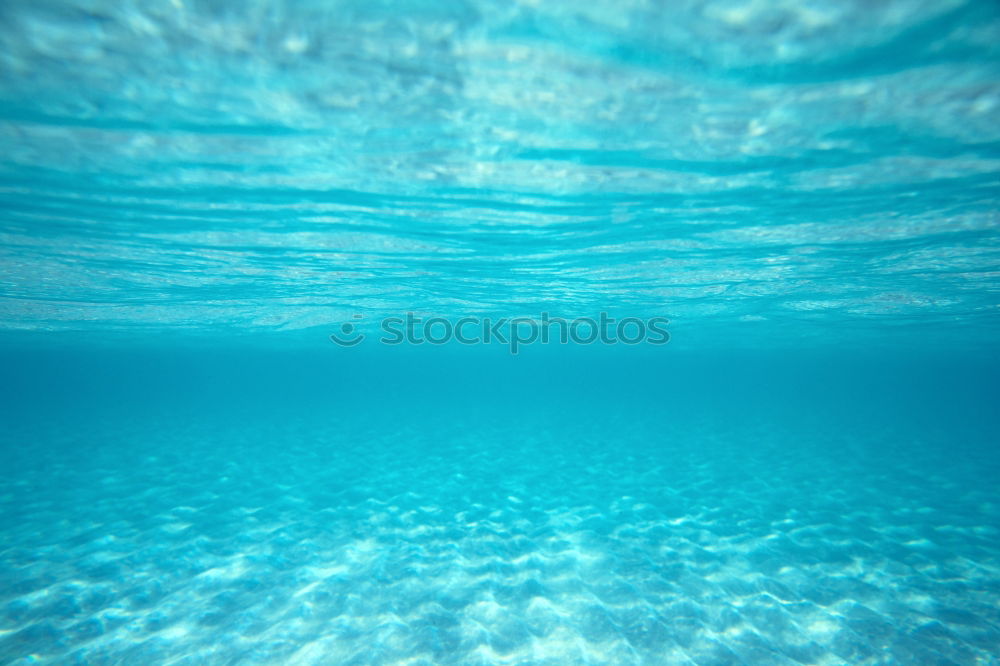 Similar – Image, Stock Photo profound Ocean Coral