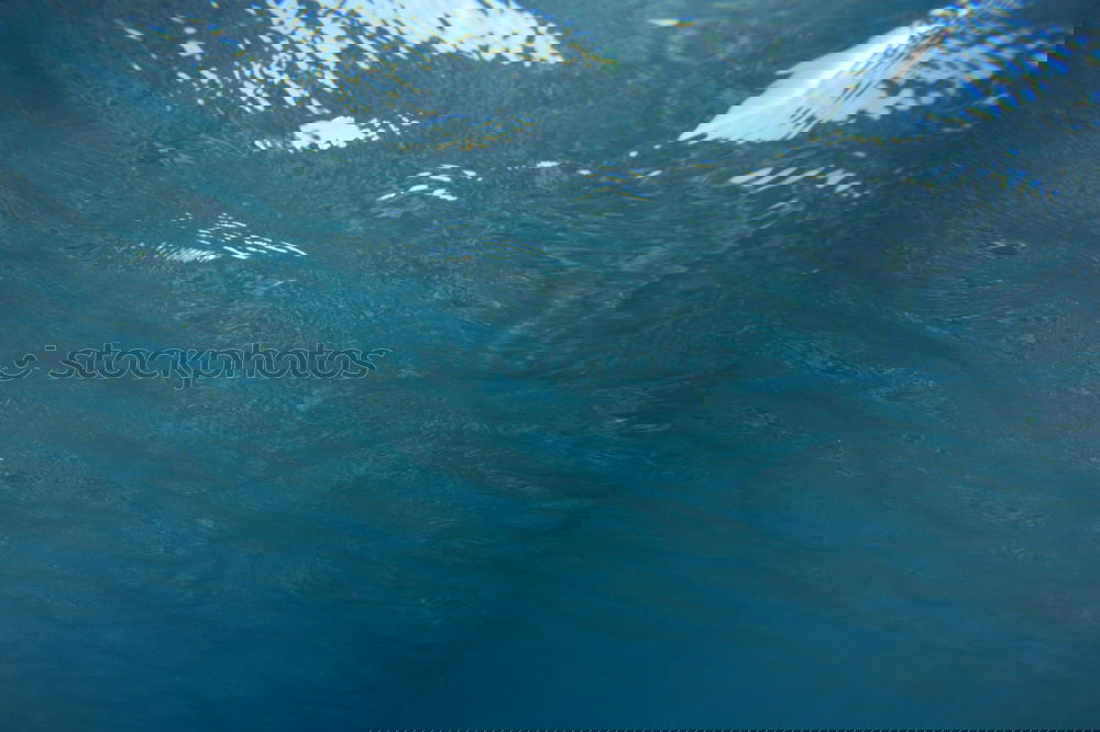 Similar – Image, Stock Photo watershed