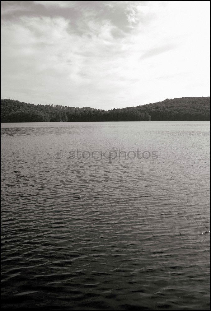 Similar – Image, Stock Photo the tree Tree Lake Green