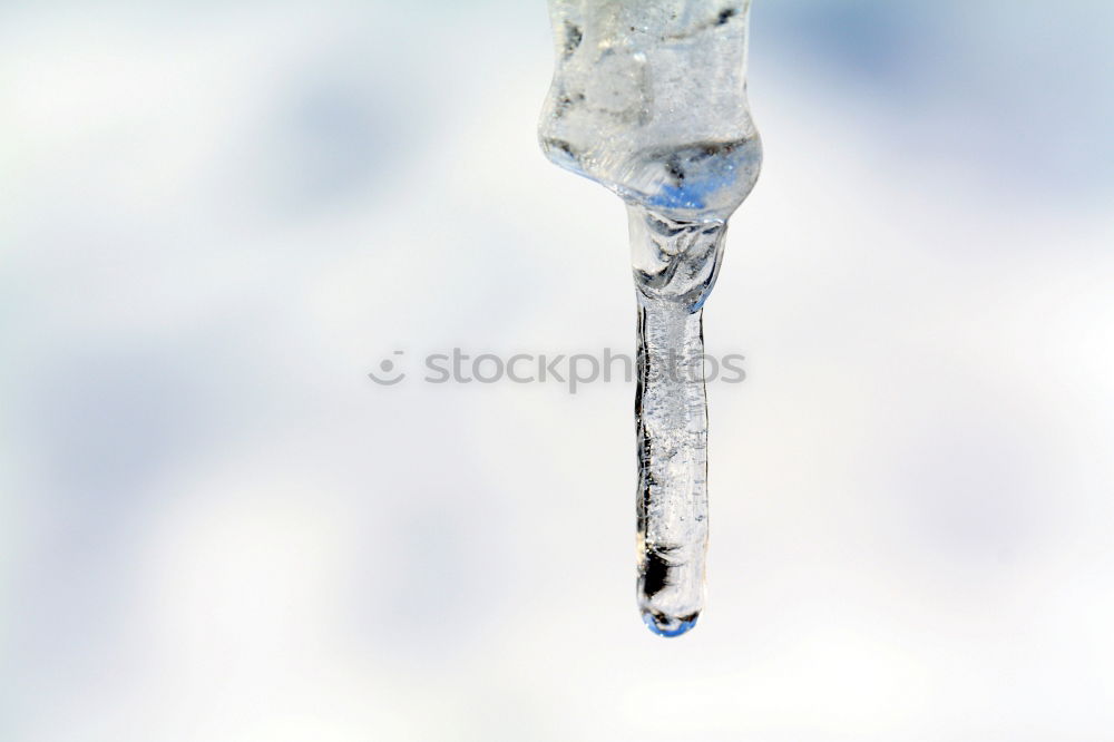 Similar – Image, Stock Photo ice tree Winter Nature