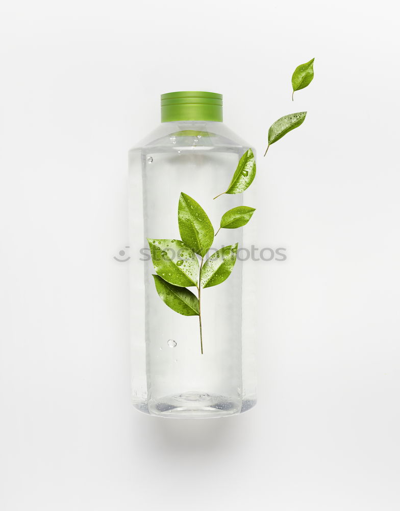 Similar – Image, Stock Photo Water bottle with green leaves