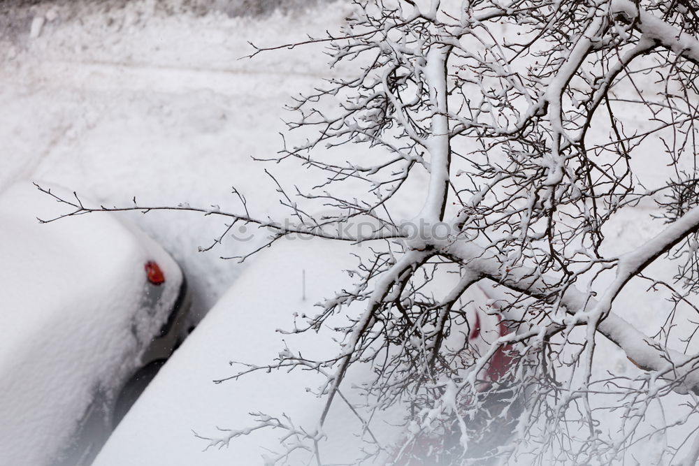 Similar – Image, Stock Photo 2 cut off windshield wipers sticking out of a car covered with snow