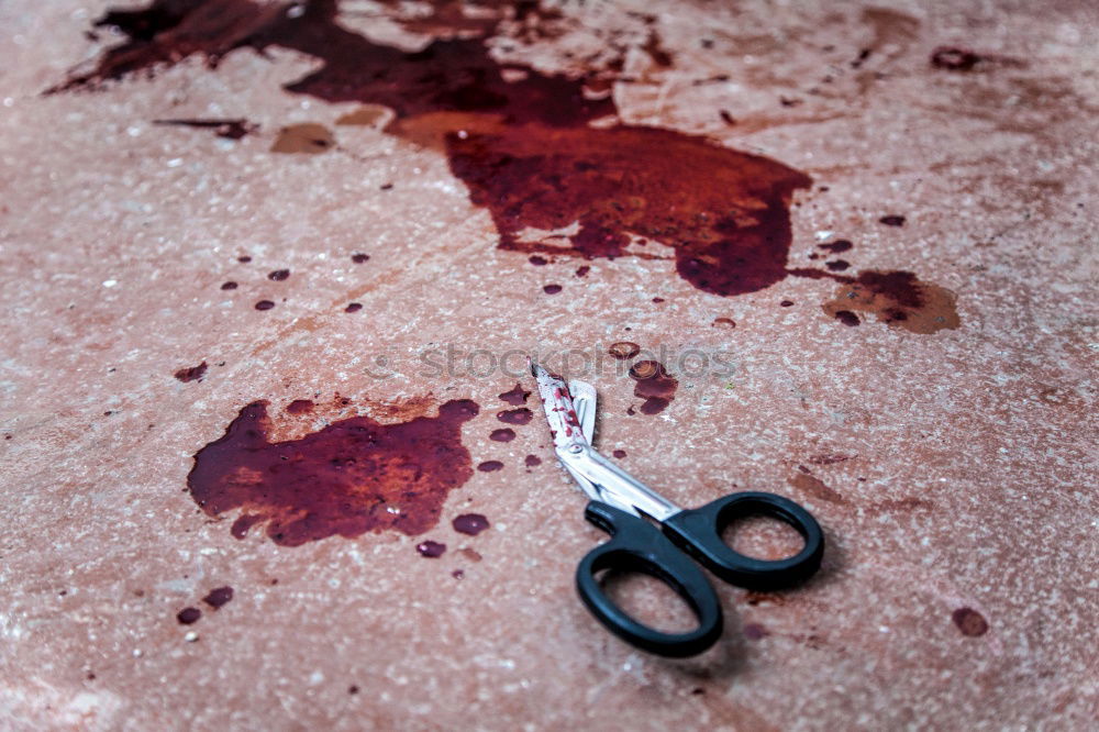 Image, Stock Photo fly away Crime scene