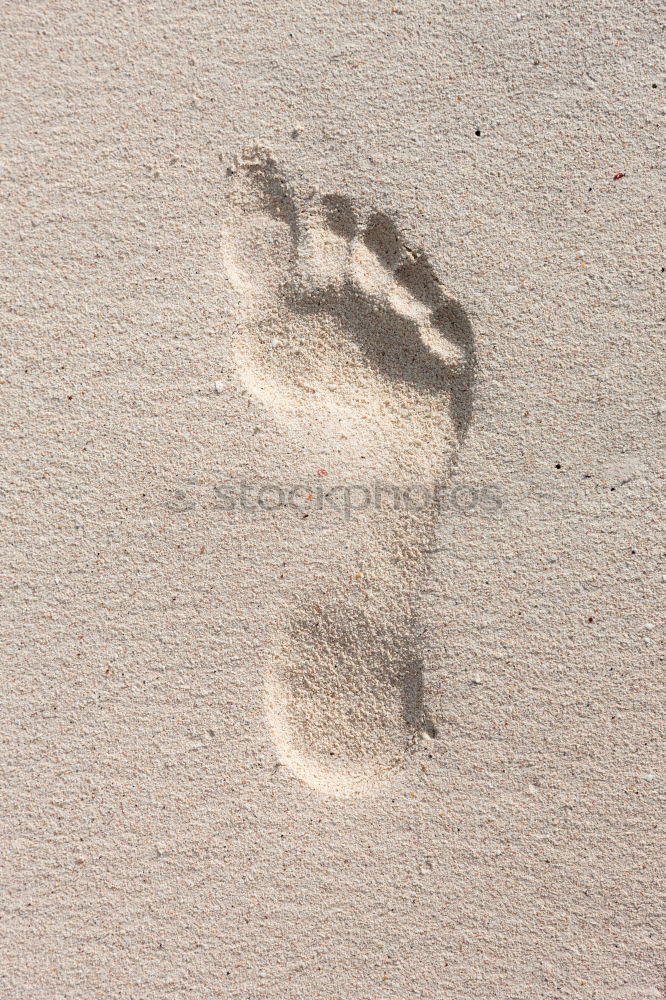 Similar – Image, Stock Photo barefoot Feet Wet Barefoot