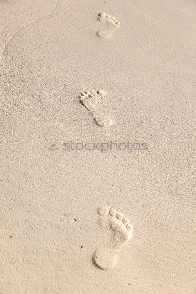 Similar – barefoot Feet Wet Barefoot