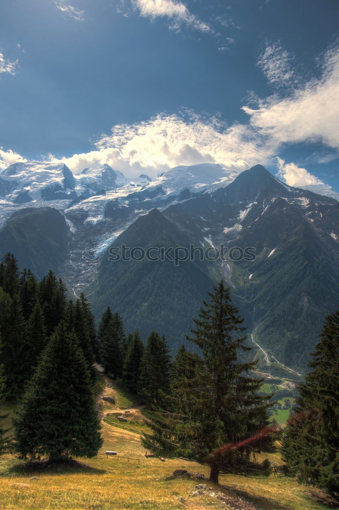 Image, Stock Photo maple Mountain Environment