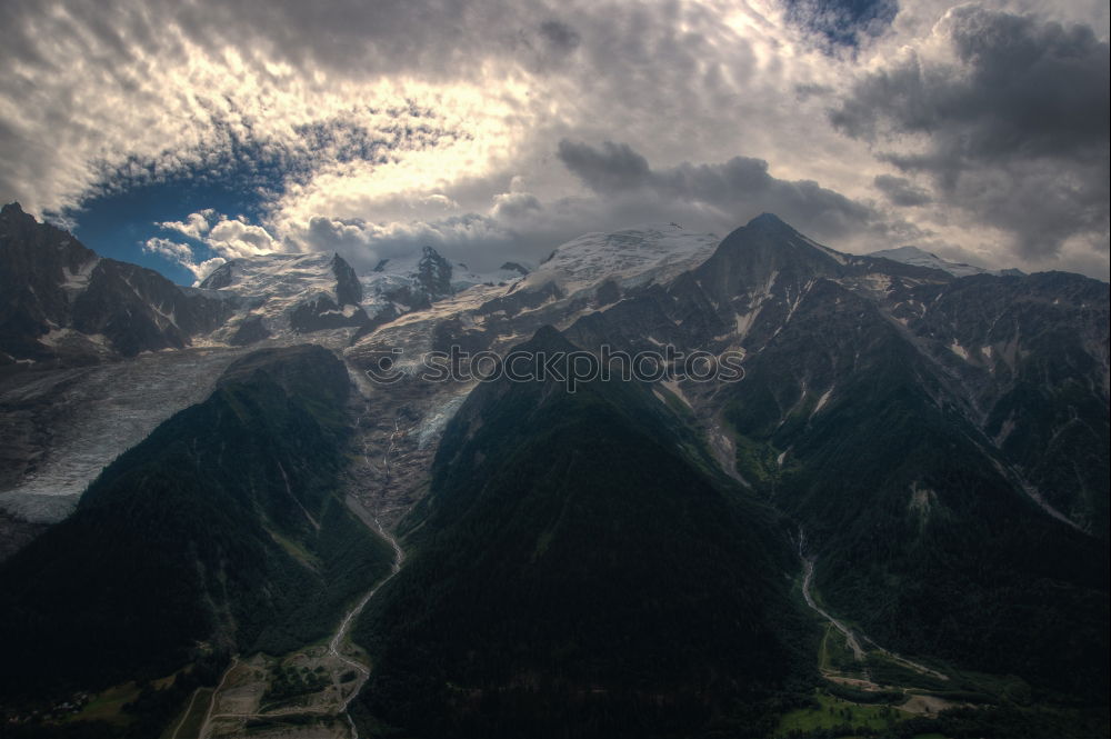 Sommerschnee Umwelt Natur