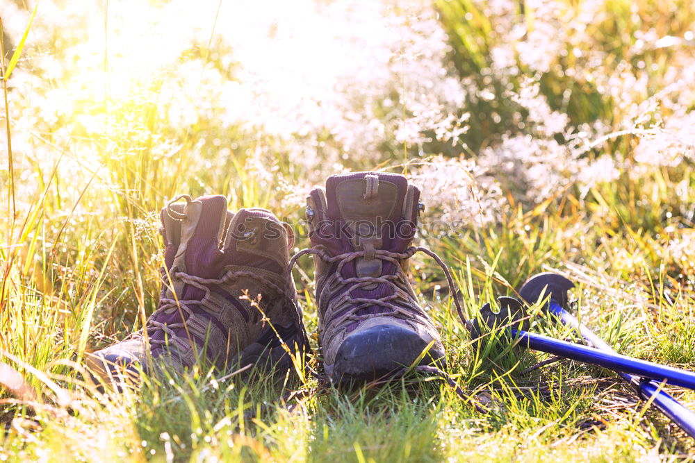 Similar – Image, Stock Photo Close up of a gardener standing in a garden with his tools