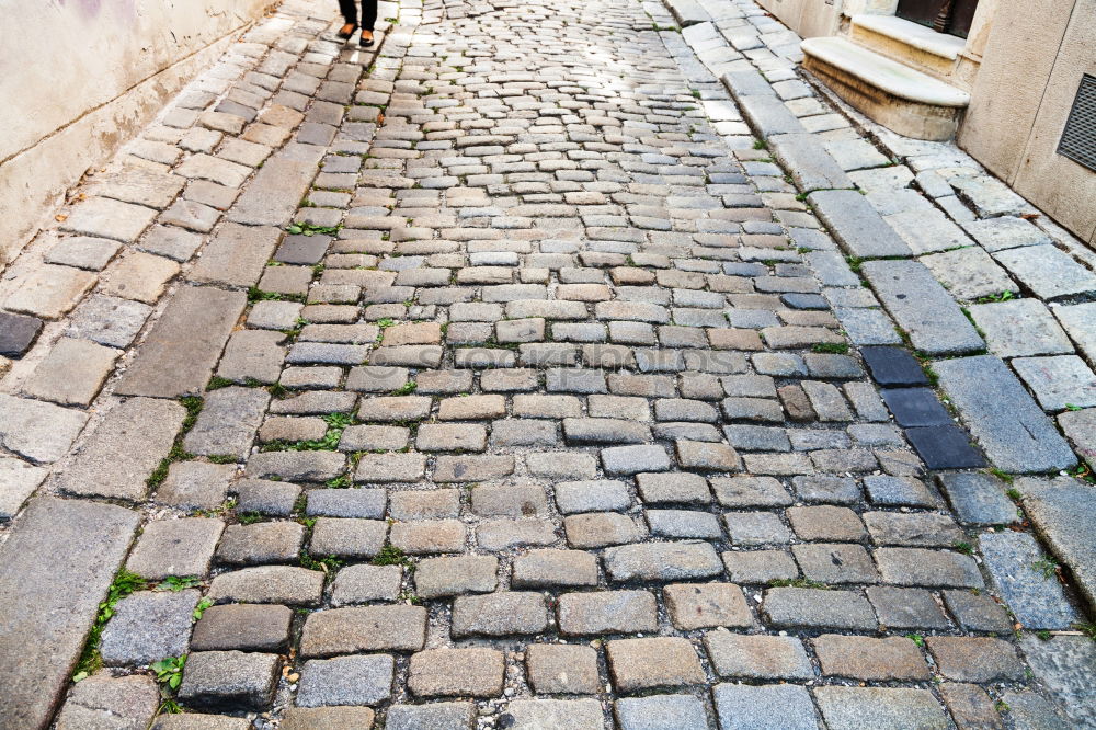 Similar – Image, Stock Photo Woman in a small alley in Naples with a view of the city