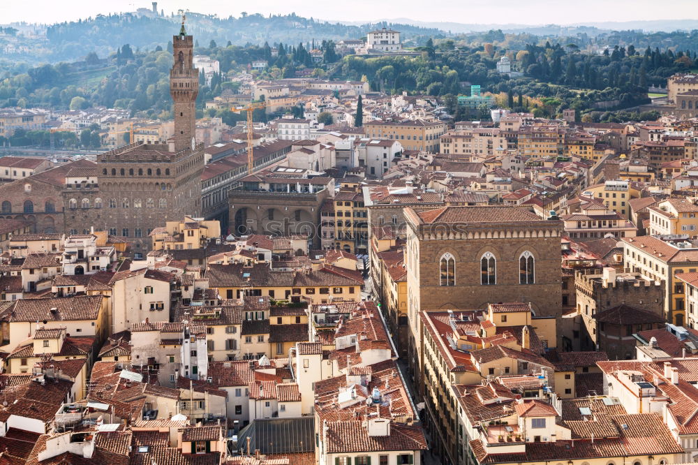 Similar – Image, Stock Photo Piazza del Campo