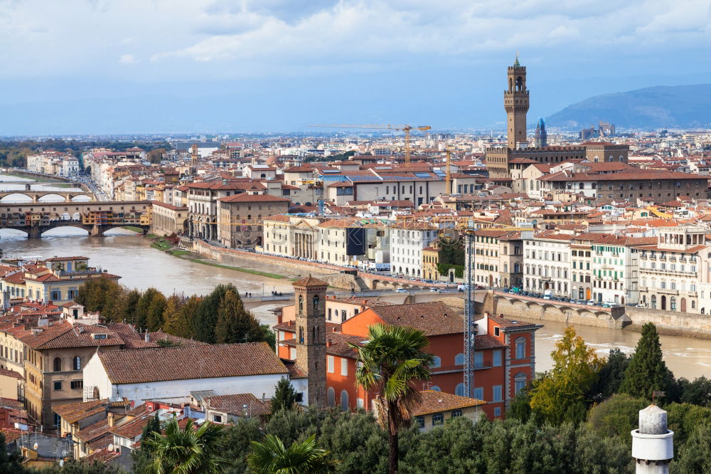 Similar – Image, Stock Photo Verona in summer