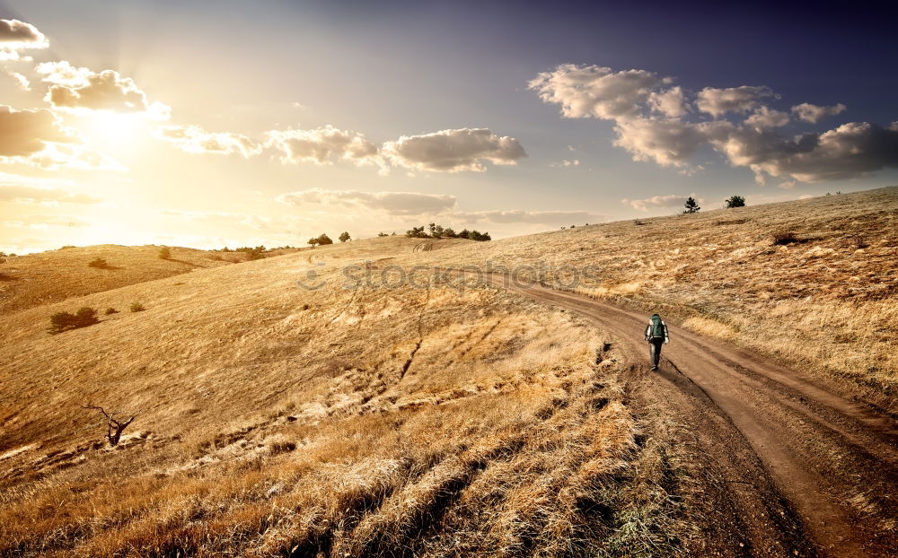 Similar – Young couple walking away on a rural path