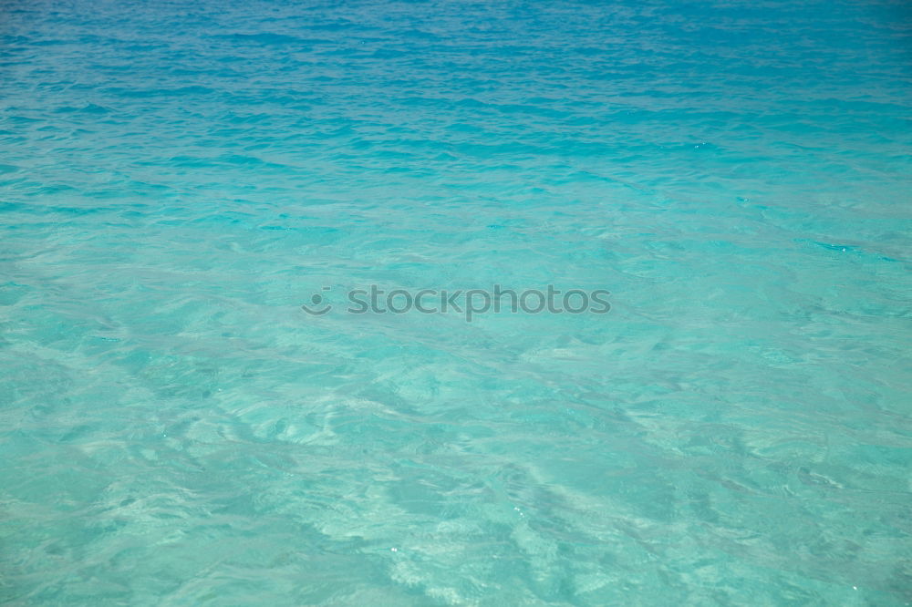 Similar – Image, Stock Photo Mediterranean 1