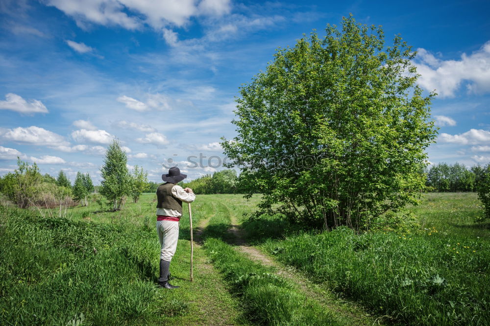 Similar – Foto Bild Wanderung Im Moor ruhig