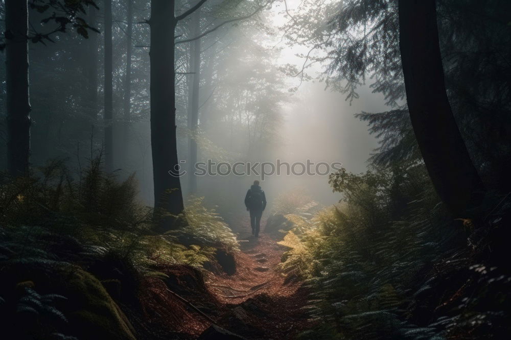 Similar – Woman looking down in forest