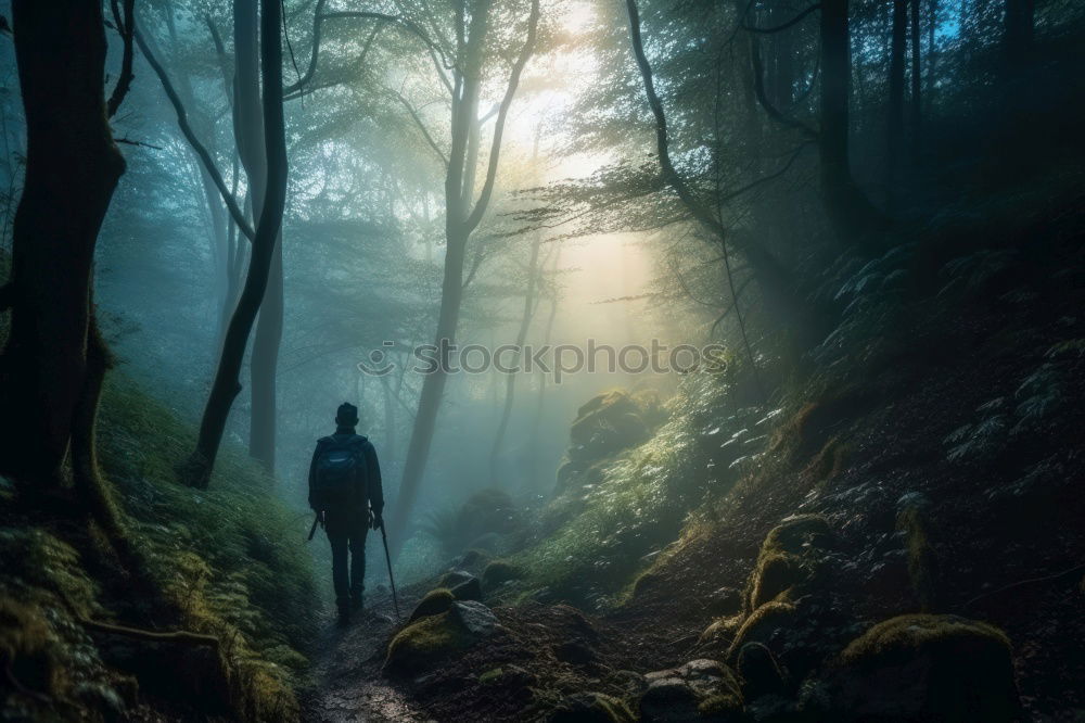 Similar – Woman looking down in forest