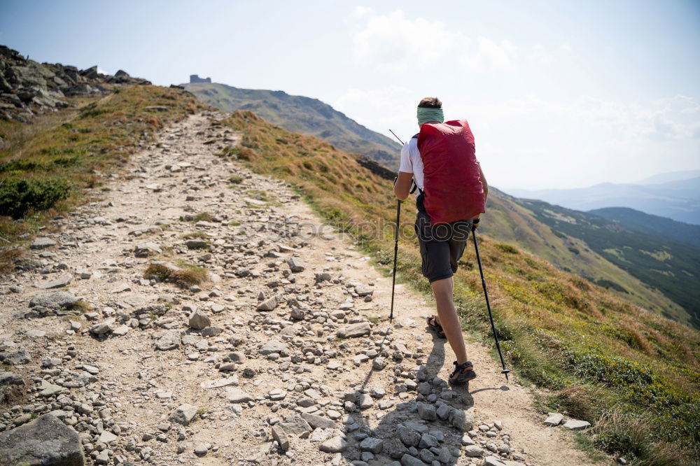 Similar – Hikers with rucksack in the mountains