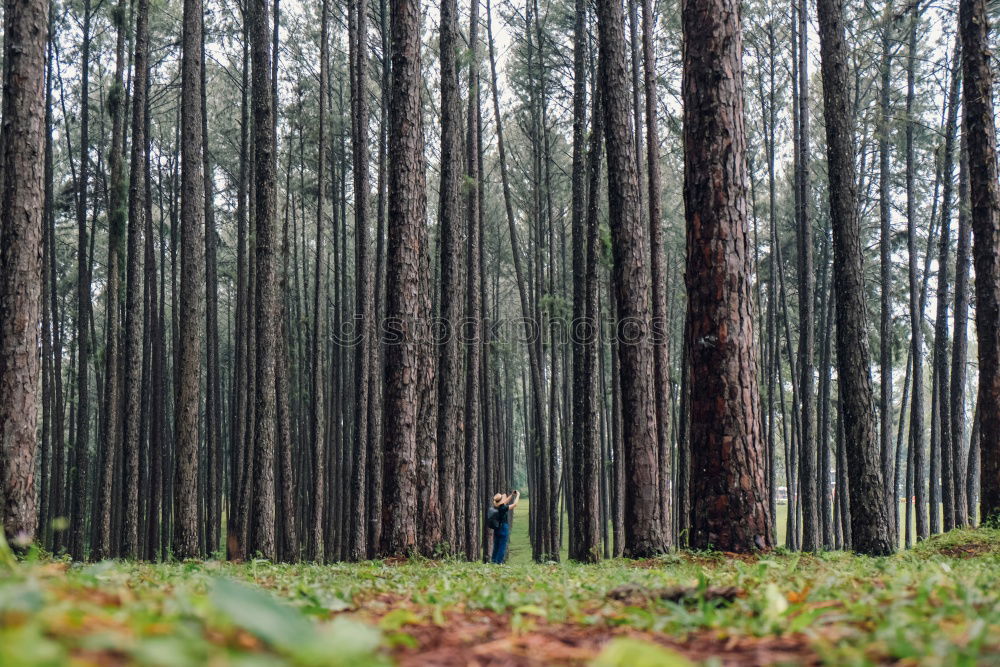 Similar – Image, Stock Photo forest child Human being