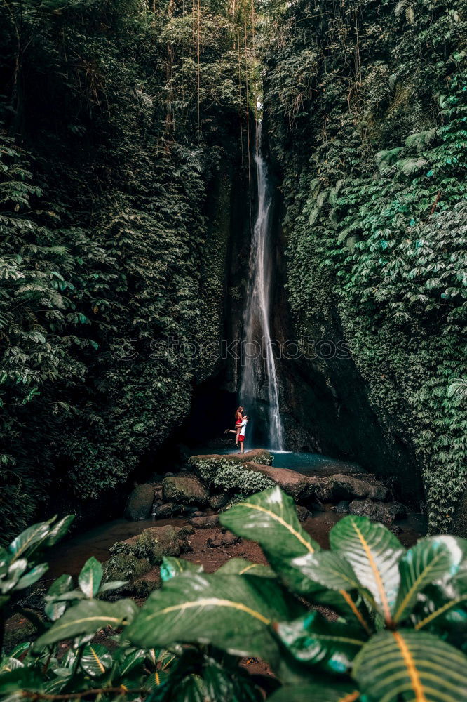 Similar – young woman standing in front of tropical waterfall