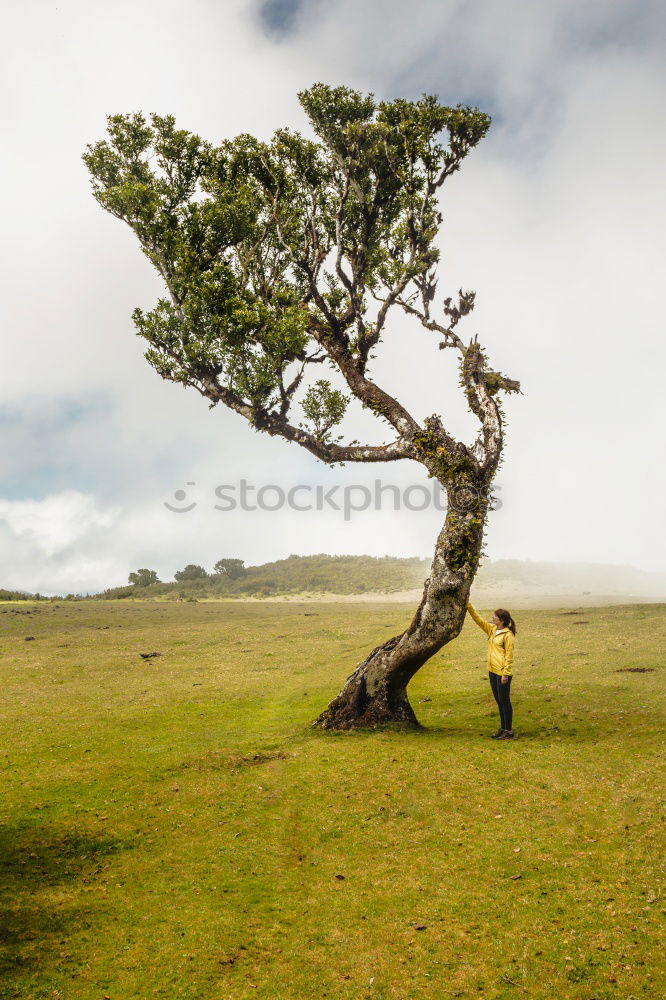 Similar – Image, Stock Photo I have a dream. Meadow