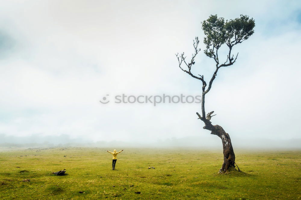 Similar – Image, Stock Photo The quietest place in the world
